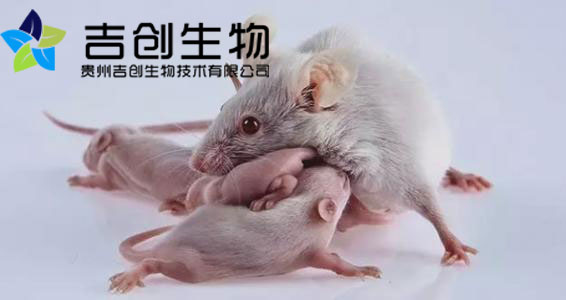 贵州细胞生物学实验公司 贵州细胞生物学实验公司