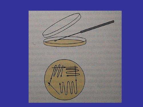 贵阳生物技术服务公司