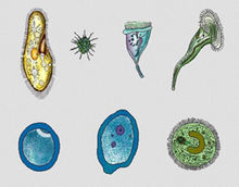 贵阳生物实验