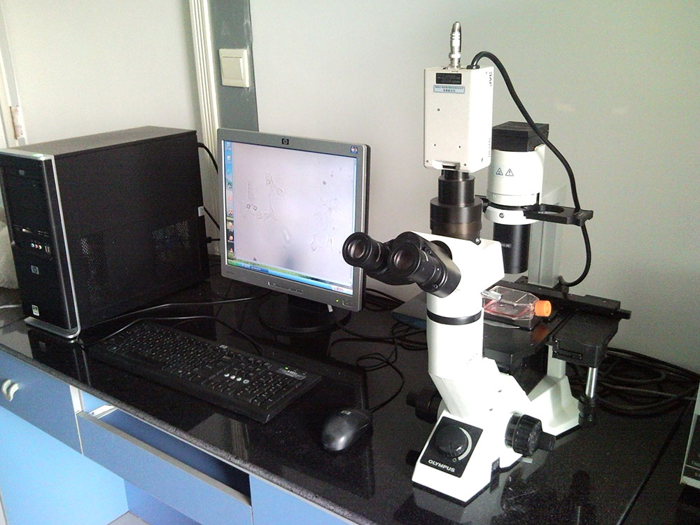 OLYMPUS倒置显微镜及成像设备